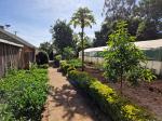 kenya biointensive fruit trees greenhouse